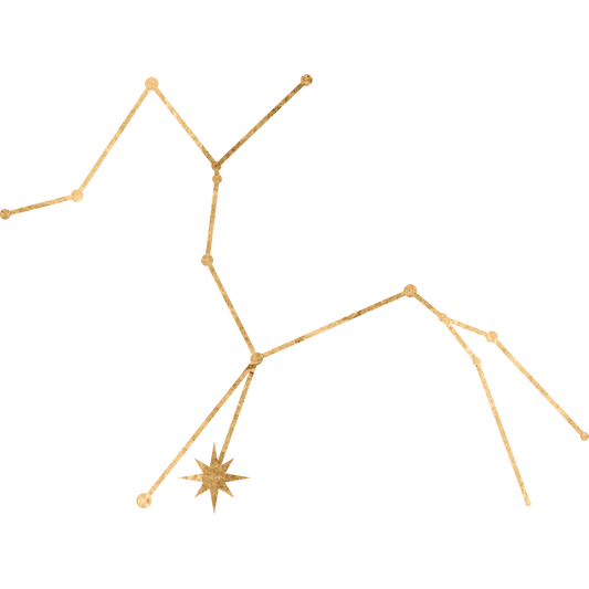 The constellation Centaurus drawn in gold foil, with the star Agena (Hadar) marked at the centaur's other foreleg.
