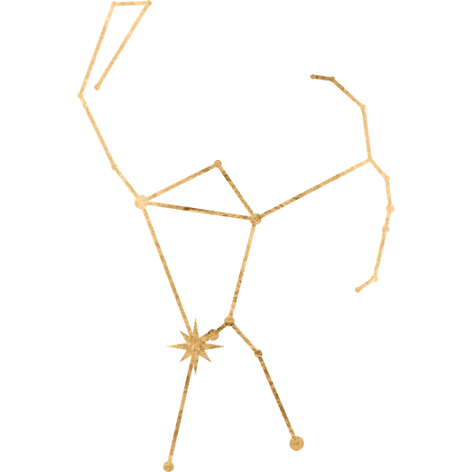 The constellation Orion drawn in gold foil, with the star Alnitak marked at the last jewel of the belt.