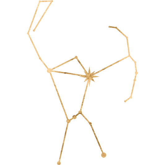 The constellation Orion drawn in gold foil, with the star Bellatrix marked at the Amazon star, the hunter's other shoulder.