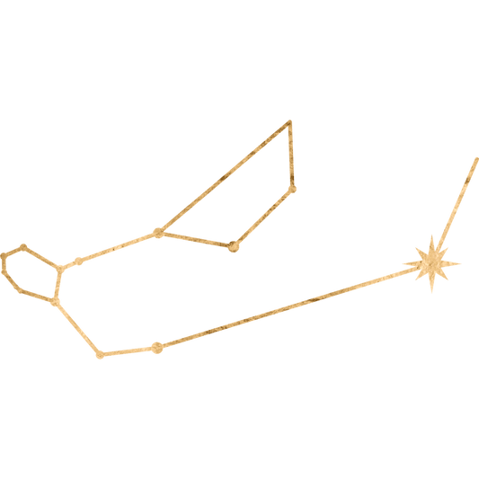 The constellation Carina drawn in gold foil, with the star Canopus marked at the helmsman of the great ship.
