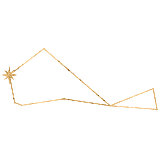 The constellation Piscis Austrinus drawn in gold foil, with the star Fomalhaut marked at the mouth of the Southern Fish, Watcher of the South.