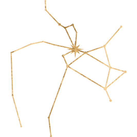 The constellation Sagittarius drawn in gold foil, with the star Nunki marked at the star of the proclamation of the sea.