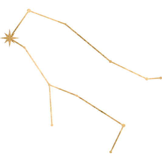 The constellation Gemini drawn in gold foil, with the star Pollux marked at the immortal twin, the boxer.