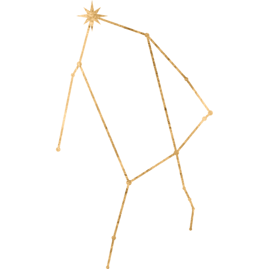 The constellation Ophiuchus drawn in gold foil, with the star Rasalhague marked at the head of the serpent-bearer.