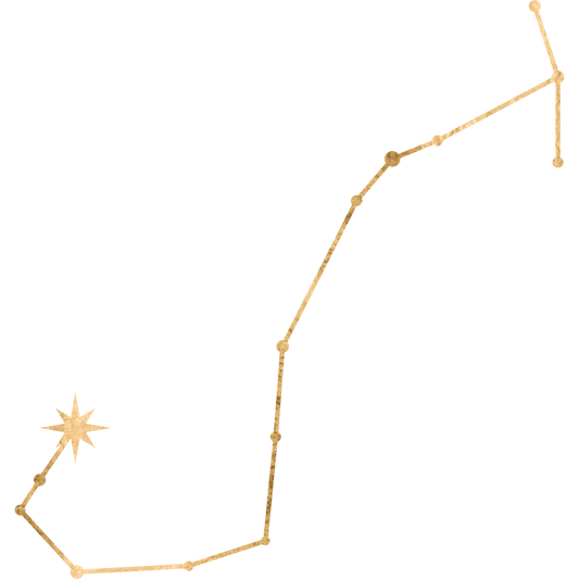 The constellation Scorpius drawn in gold foil, with the star Shaula marked at the raised sting.