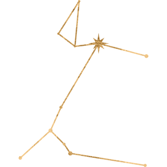 The constellation Canis Major drawn in gold foil, with the star Sirius marked at the Dog Star, brightest in all the sky.